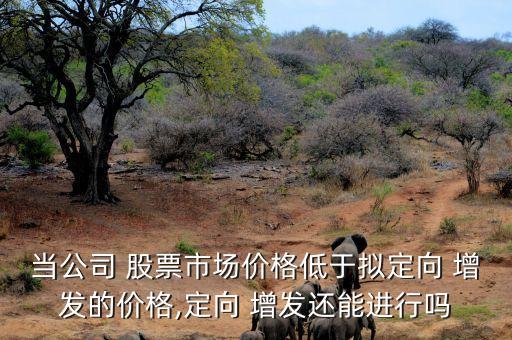 當(dāng)公司 股票市場價格低于擬定向 增發(fā)的價格,定向 增發(fā)還能進(jìn)行嗎