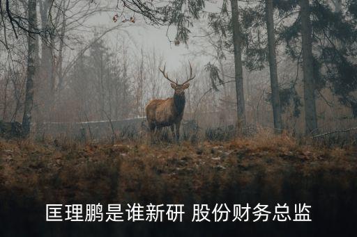 匡理鵬是誰新研 股份財務總監(jiān)
