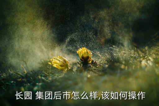 長園集團(tuán)舉牌價格,格力為什么要舉牌長園集團(tuán)