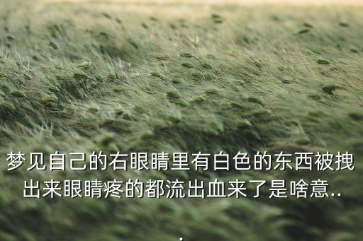 夢(mèng)見自己的右眼睛里有白色的東西被拽出來眼睛疼的都流出血來了是啥意...