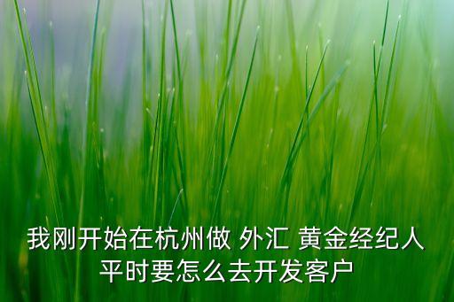 我剛開始在杭州做 外匯 黃金經(jīng)紀(jì)人平時(shí)要怎么去開發(fā)客戶