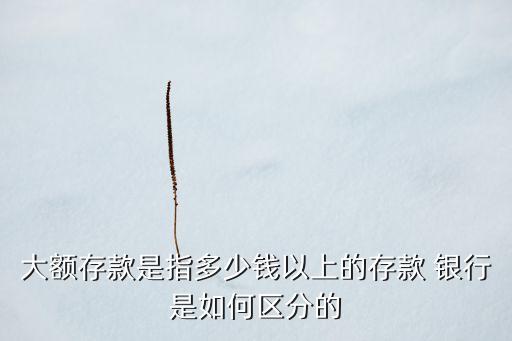 大額存款是指多少錢(qián)以上的存款 銀行是如何區(qū)分的