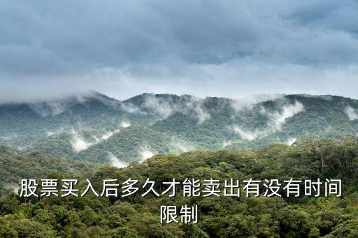  股票買入后多久才能賣出有沒有時間限制