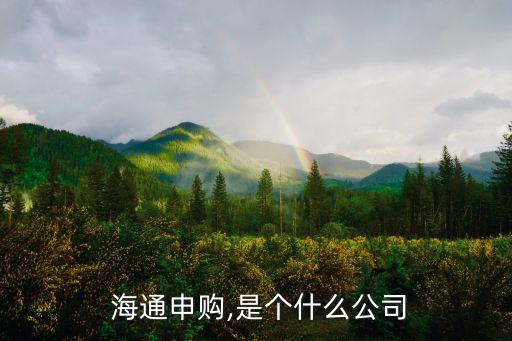  海通申購(gòu),是個(gè)什么公司