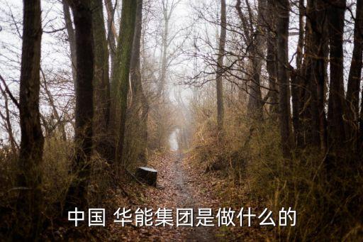 中國 華能集團是做什么的