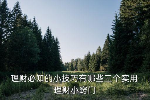  理財(cái)必知的小技巧有哪些三個(gè)實(shí)用 理財(cái)小竅門(mén)