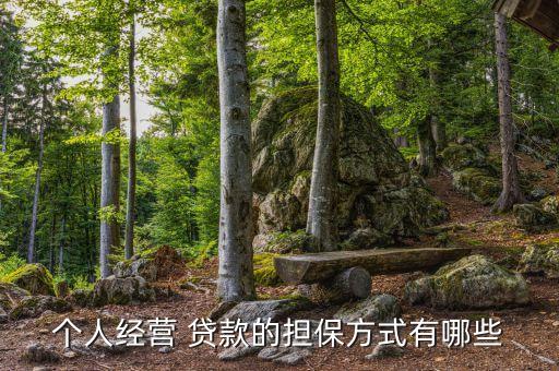 個人經(jīng)營 貸款的擔保方式有哪些