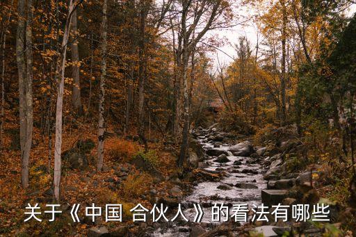 關于《中國 合伙人》的看法有哪些