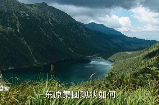  東原集團現狀如何