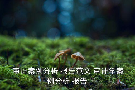  審計案例分析 報告范文 審計學(xué)案例分析 報告
