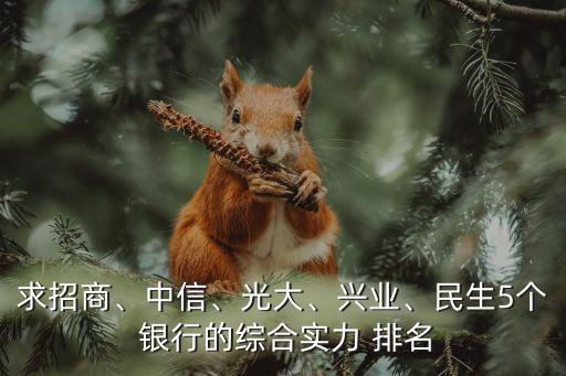 求招商、中信、光大、興業(yè)、民生5個 銀行的綜合實力 排名