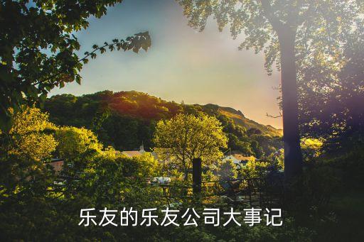樂(lè)友的樂(lè)友公司大事記