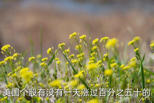 美國(guó)個(gè)股有沒有一天漲過百分之五十的