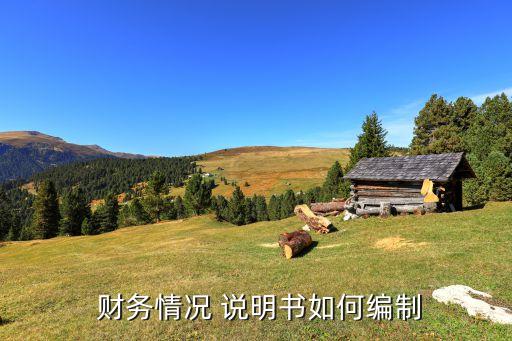 中國(guó)財(cái)務(wù)狀況說(shuō)明書(shū),財(cái)務(wù)狀況說(shuō)明書(shū)是會(huì)計(jì)報(bào)表附注么