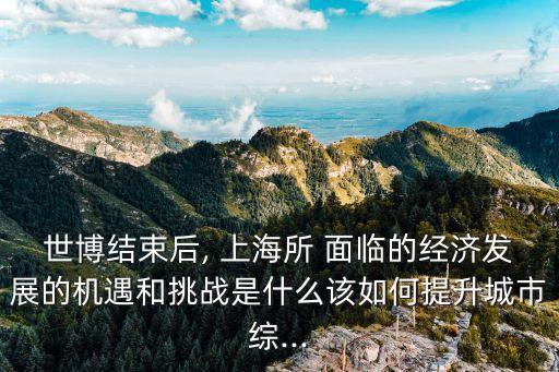 世博結束后, 上海所 面臨的經(jīng)濟發(fā)展的機遇和挑戰(zhàn)是什么該如何提升城市綜...