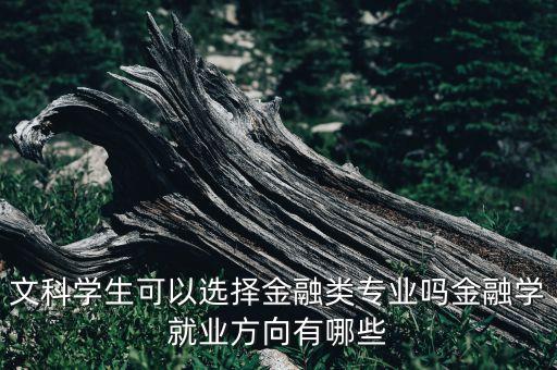 文科學生可以選擇金融類專業(yè)嗎金融學就業(yè)方向有哪些