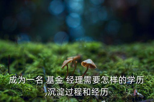 成為一名 基金 經(jīng)理需要怎樣的學歷,沉淀過程和經(jīng)歷