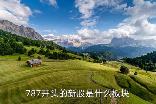 787開(kāi)頭的新股是什么板塊