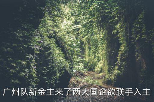 廣州隊新金主來了兩大國企欲聯手入主