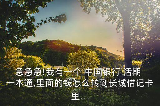 中國(guó)銀行的活期一本通