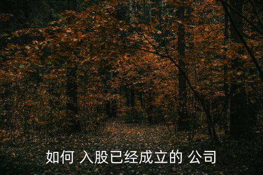 怎么入股一家公司,想投資入股在哪里找