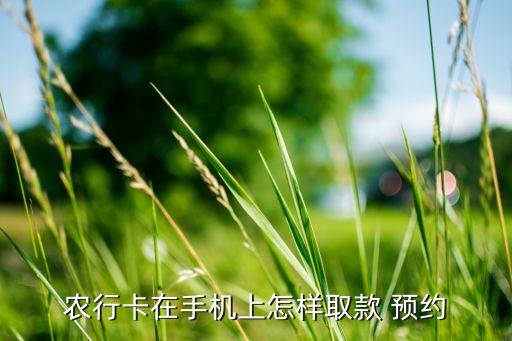 農(nóng)行卡在手機上怎樣取款 預約