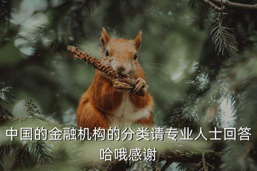 中國的金融機構(gòu)的分類請專業(yè)人士回答哈哦感謝