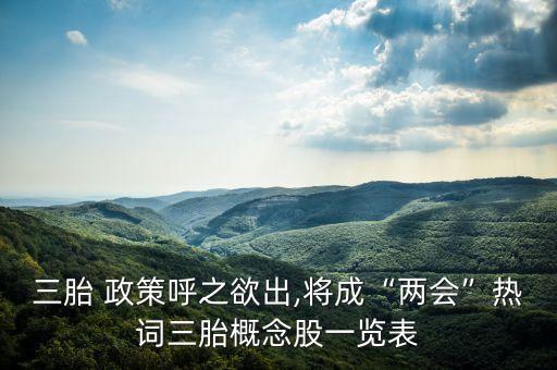 三胎 政策呼之欲出,將成“兩會(huì)”熱詞三胎概念股一覽表