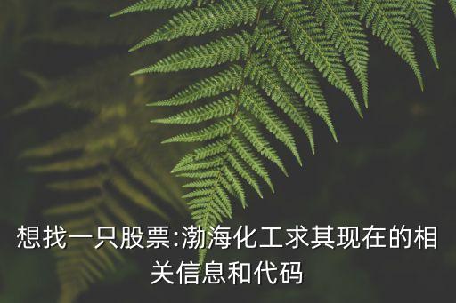 想找一只股票:渤?；で笃洮F(xiàn)在的相關(guān)信息和代碼
