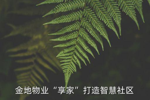 金地集團成本管理