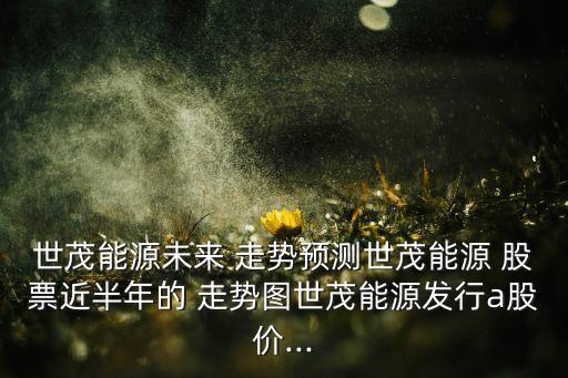 世茂能源未來 走勢預測世茂能源 股票近半年的 走勢圖世茂能源發(fā)行a股價...
