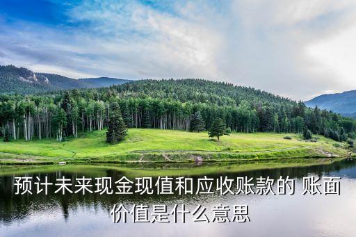 預(yù)計未來現(xiàn)金現(xiàn)值和應(yīng)收賬款的 賬面 價值是什么意思