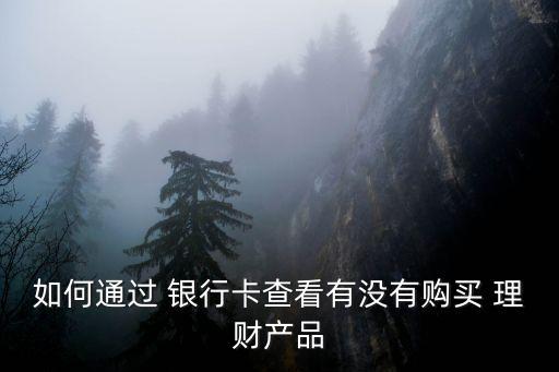 如何通過(guò) 銀行卡查看有沒(méi)有購(gòu)買 理財(cái)產(chǎn)品