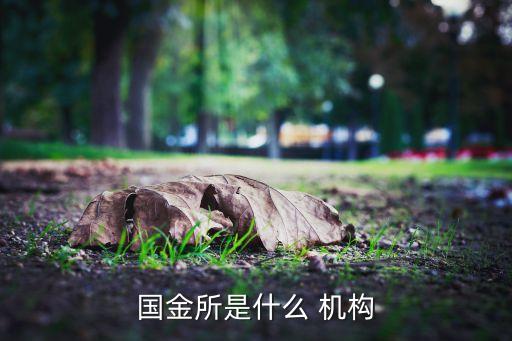 國金所是什么 機(jī)構(gòu)