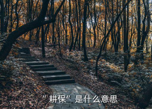 “ 耕?！笔鞘裁匆馑? class=