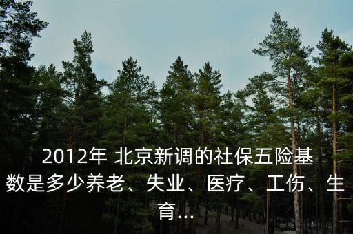  2012年 北京新調(diào)的社保五險(xiǎn)基數(shù)是多少養(yǎng)老、失業(yè)、醫(yī)療、工傷、生育...