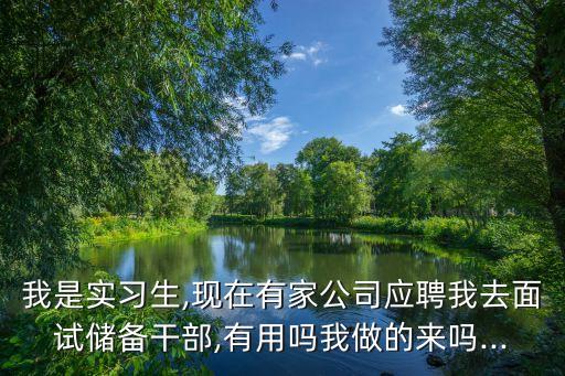 保險(xiǎn)公司影子會計(jì),去保險(xiǎn)公司當(dāng)會計(jì)好不好