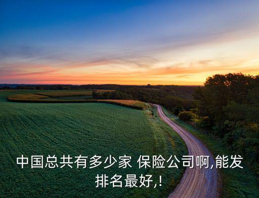 中國總共有多少家 保險(xiǎn)公司啊,能發(fā)排名最好,!