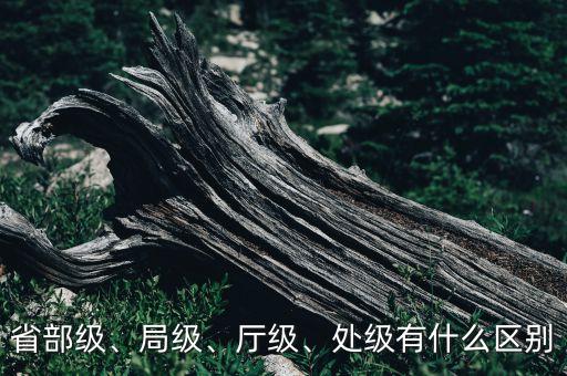 省部級(jí)、局級(jí)、廳級(jí)、處級(jí)有什么區(qū)別