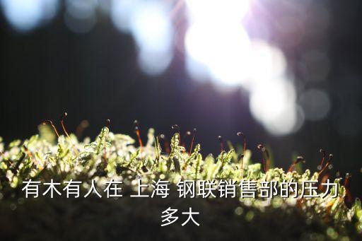 上海鋼聯不行
