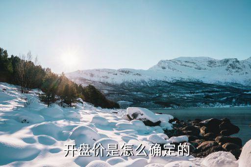  開(kāi)盤價(jià)是怎么確定的