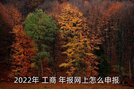 2022年 工商 年報網上怎么申報
