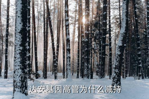 達(dá)安集團(tuán)董事,達(dá)安國際集團(tuán)有限公司