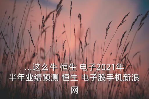 ...這么牛 恒生 電子2021年半年業(yè)績預測 恒生 電子股手機新浪網(wǎng)