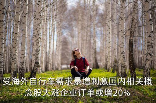 受海外自行車需求暴增刺激國(guó)內(nèi)相關(guān)概念股大漲企業(yè)訂單或增20%
