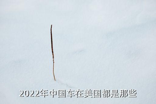 中國(guó)出口車(chē)有哪些品牌,中國(guó)武器出口到哪些國(guó)家