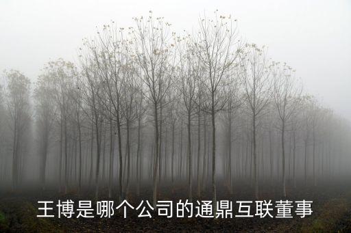 王博是哪個公司的通鼎互聯董事