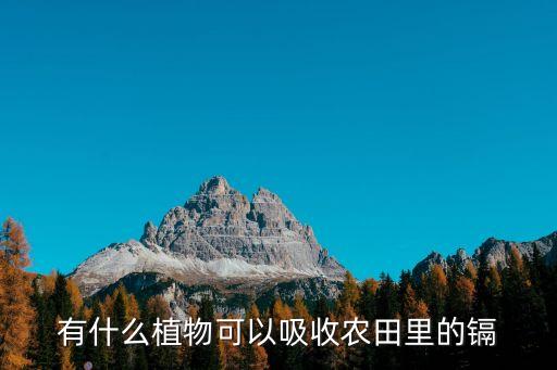 美國超級(jí)基金應(yīng)用與中國