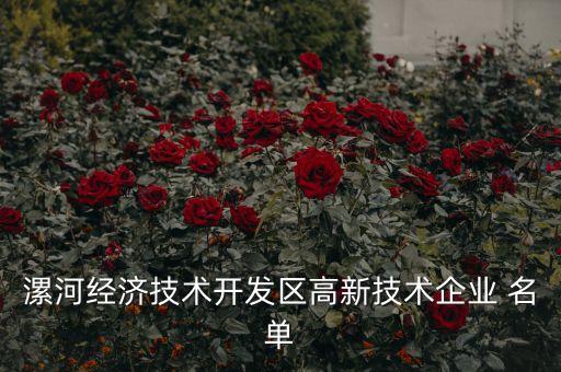 漯河經(jīng)濟技術開發(fā)區(qū)高新技術企業(yè) 名單