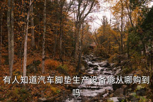 有人知道汽車腳墊生產(chǎn)設(shè)備能從哪購(gòu)到嗎